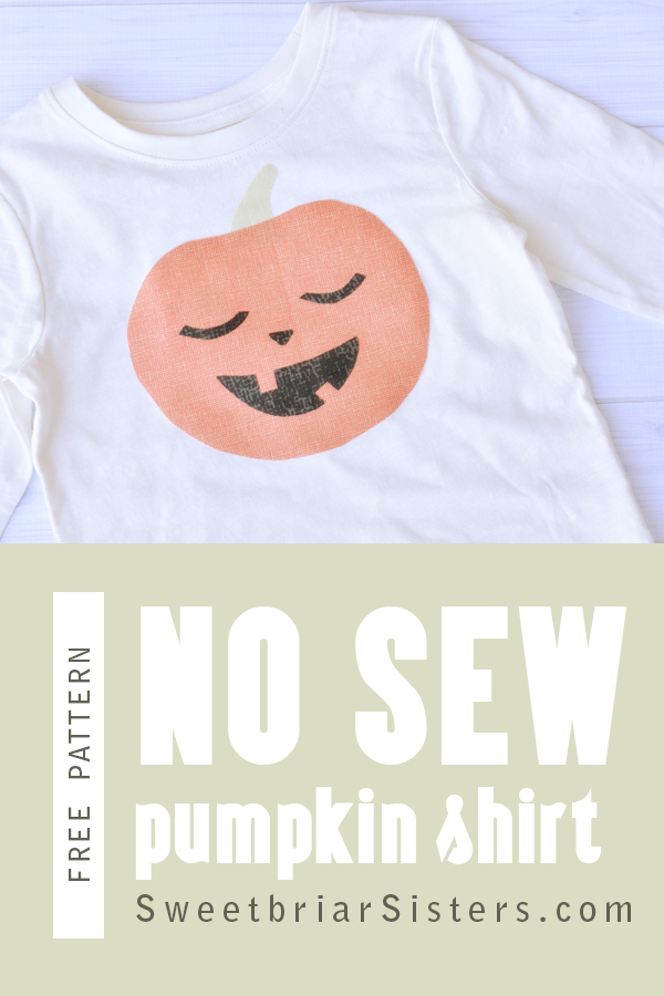 Make a 10 Minute No Sew Halloween Tshirt · Sweetbriar Sisters